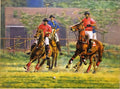Irfan Rehman - Unicorn Gallery