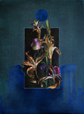 Dua Abbas - Unicorn Gallery
